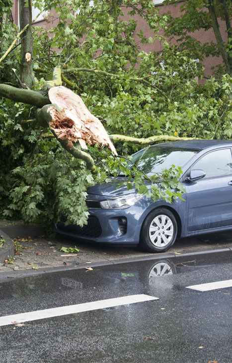 Garantie tempête ou événements naturels